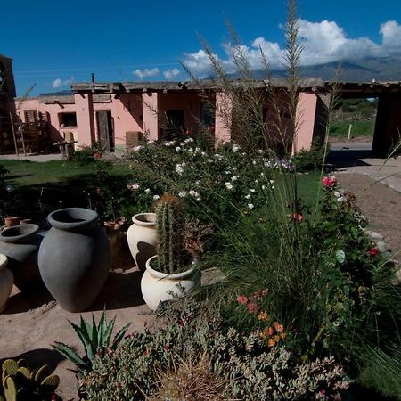 Finca Huayrapuca Famatina Exterior foto